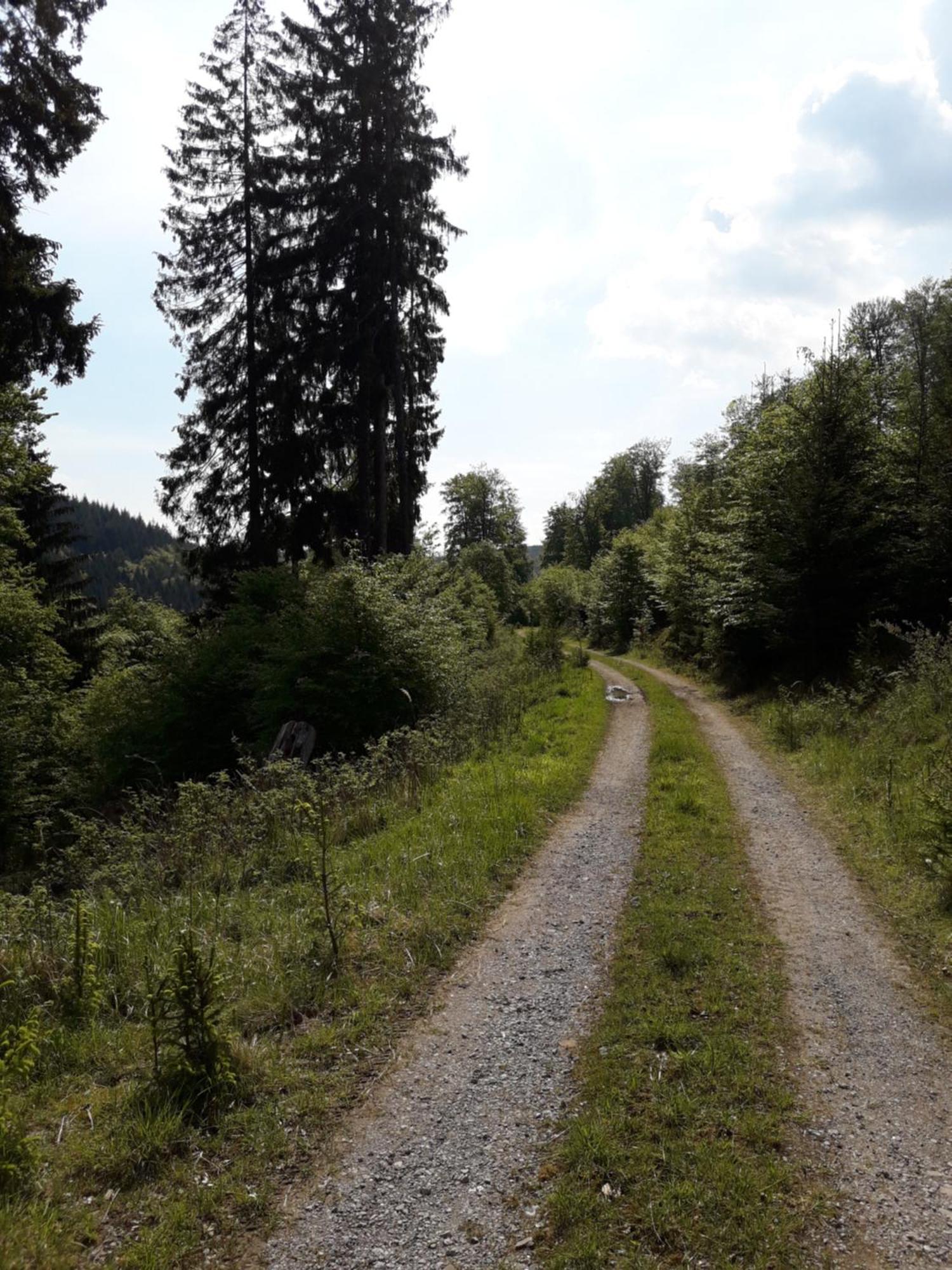 Apartmán Ortwin Olsberg Exteriér fotografie
