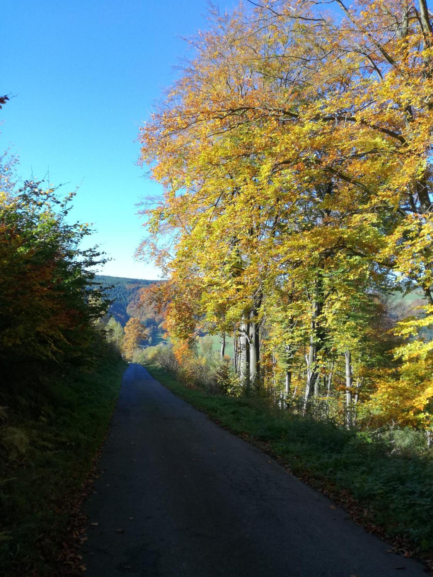 Apartmán Ortwin Olsberg Exteriér fotografie