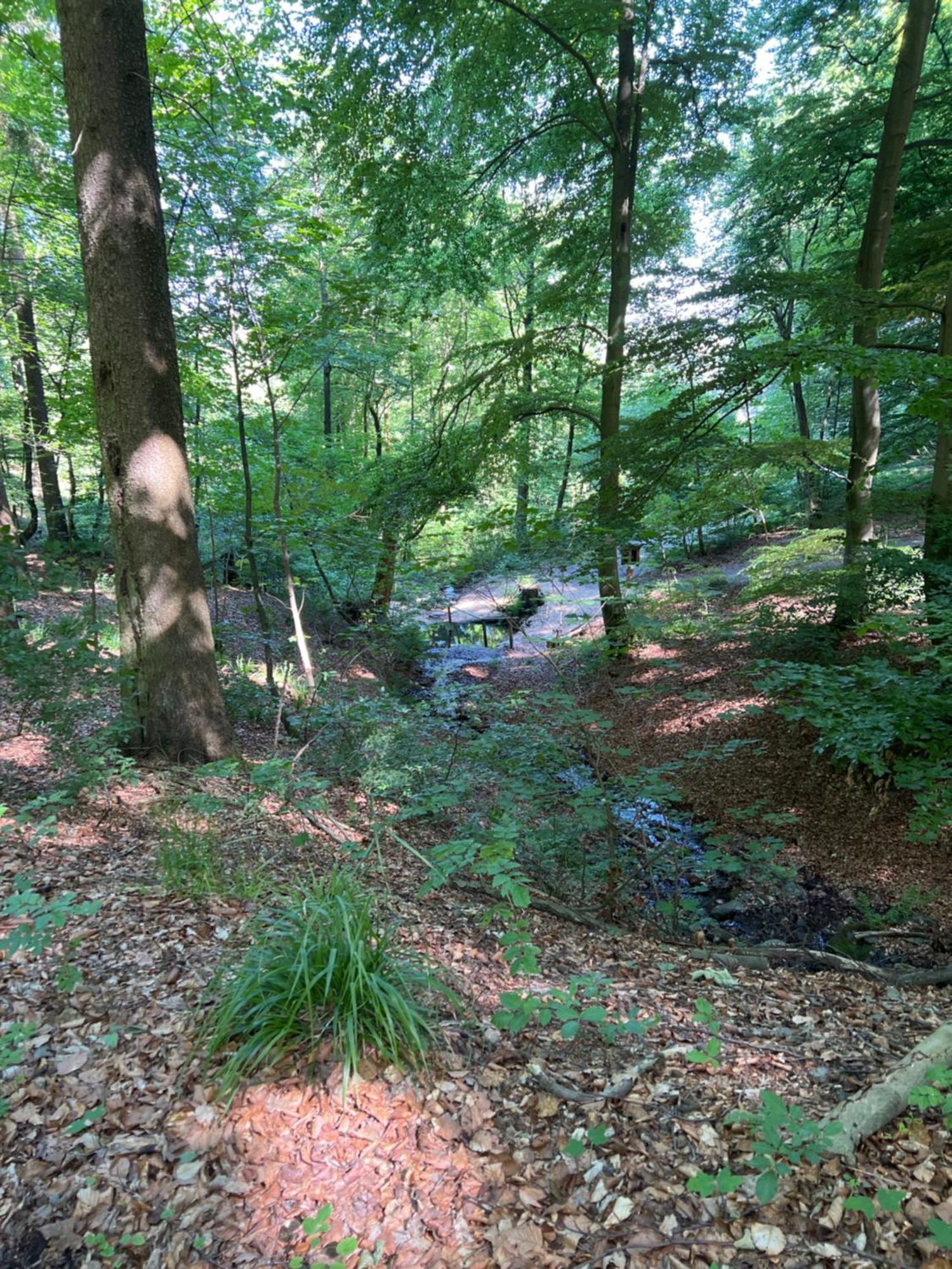 Apartmán Ortwin Olsberg Exteriér fotografie