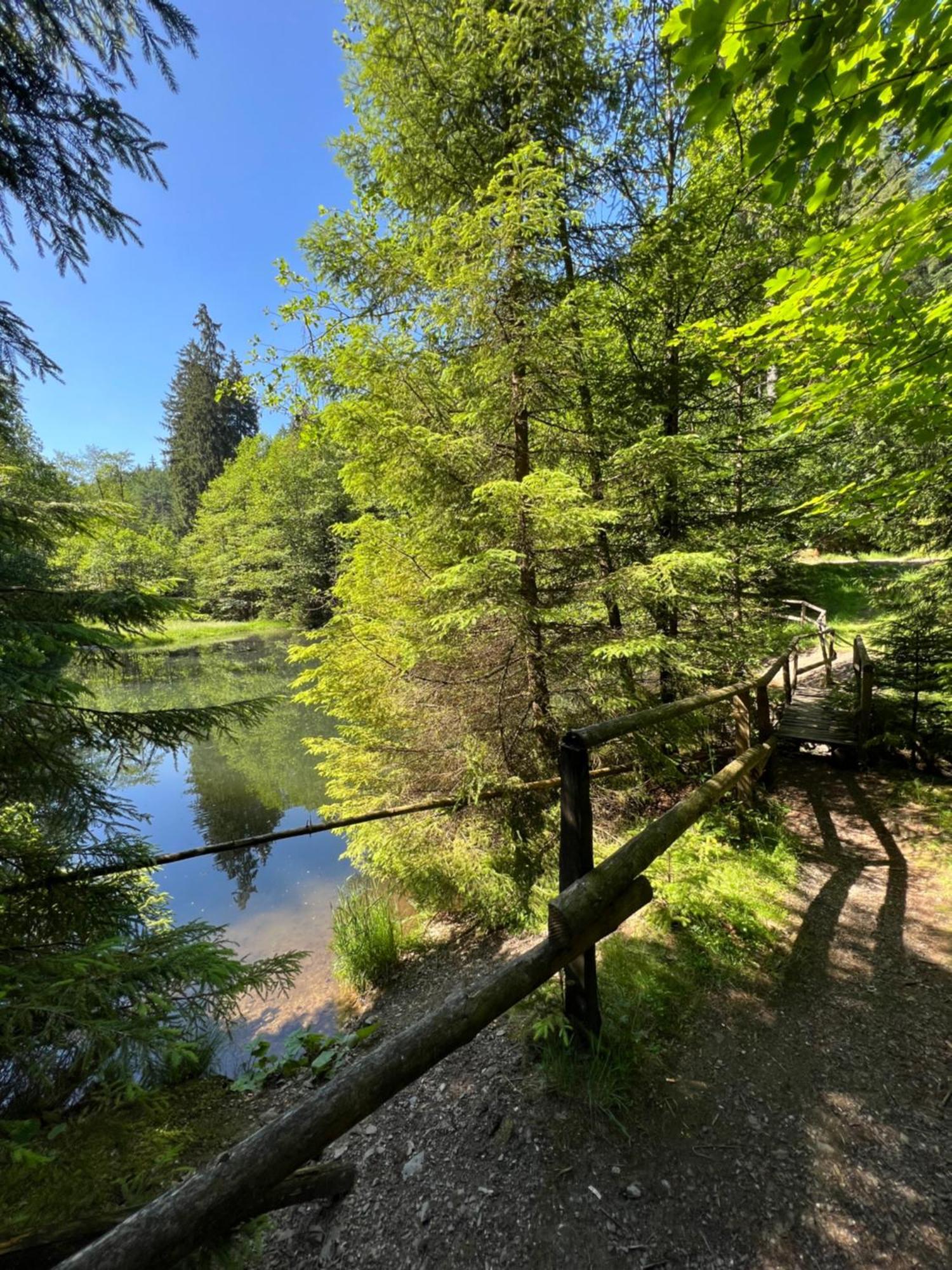 Apartmán Ortwin Olsberg Exteriér fotografie