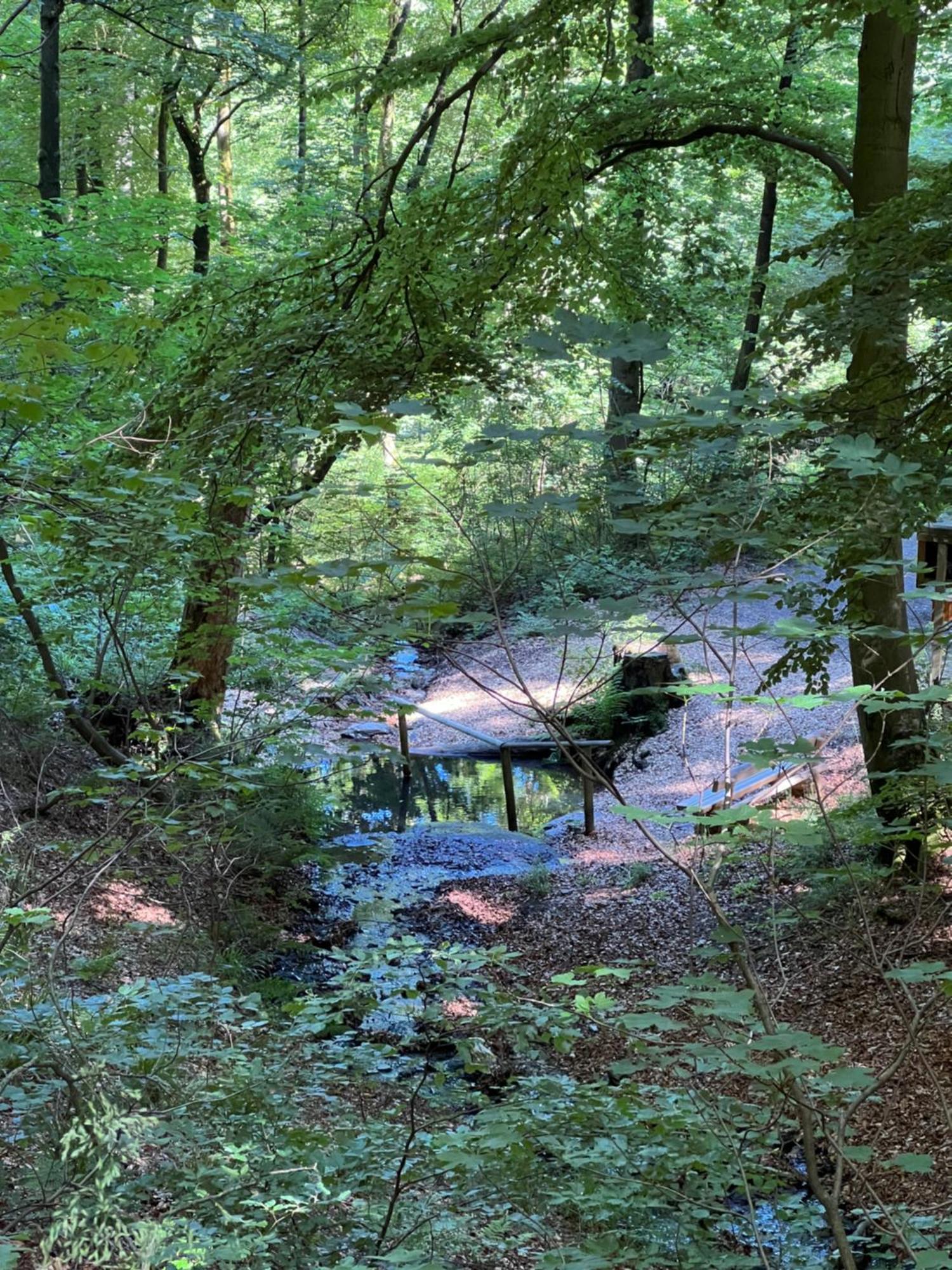 Apartmán Ortwin Olsberg Exteriér fotografie
